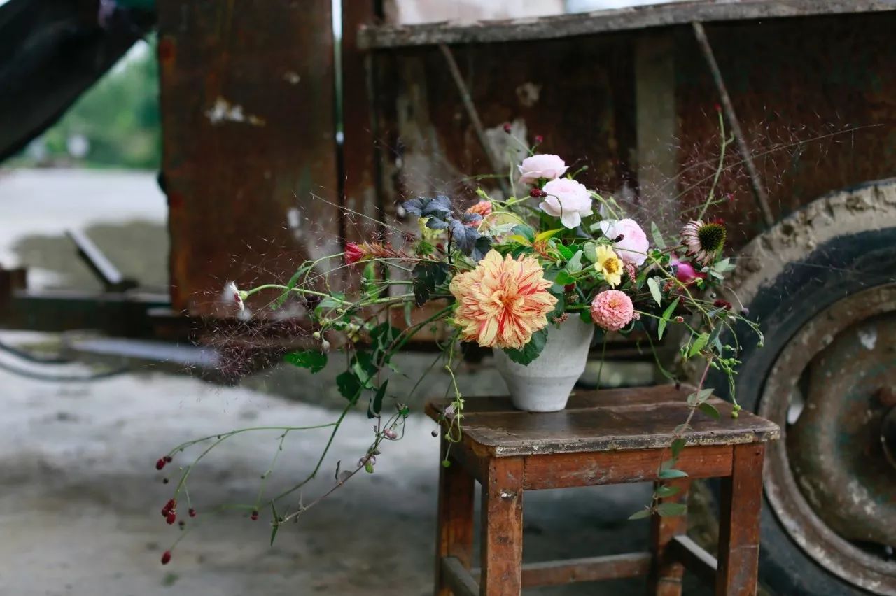 花田里逛了3小时，花材、花束、年度美照都有了