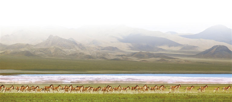 党的八大前中国经济成就,十八大以来西藏经济社会发展纪实