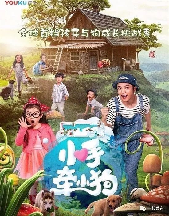 有宝宝养狗需要注意什么,养狗知识大全养什么狗最好