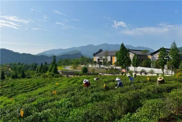 幸福美丽新村建设内容,建设幸福美丽新村的方案