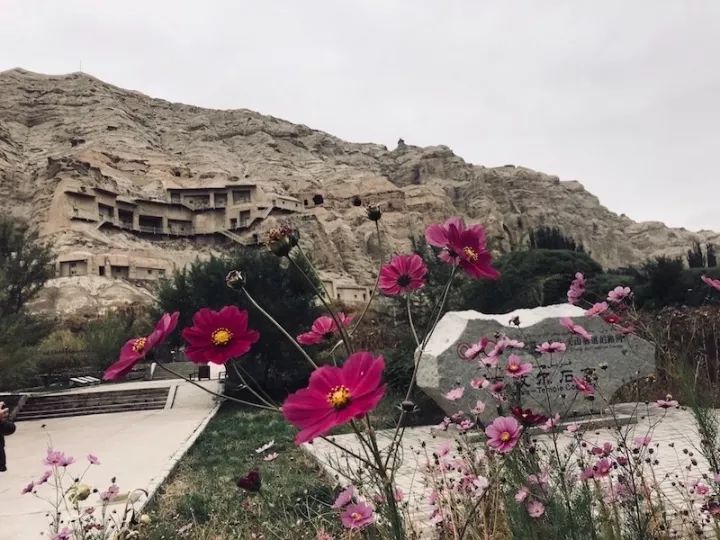 逃离阴雨缠绵的上海,说走就走的3日*疆新**胡杨游你想试试吗?|附攻略