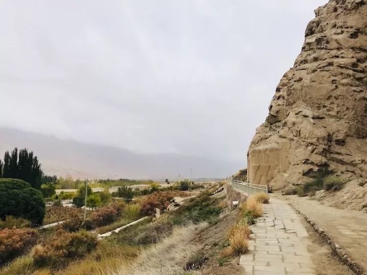 逃离阴雨缠绵的上海,说走就走的3日*疆新**胡杨游你想试试吗?|附攻略