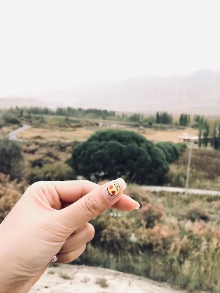 逃离阴雨缠绵的上海,说走就走的3日*疆新**胡杨游你想试试吗?|附攻略