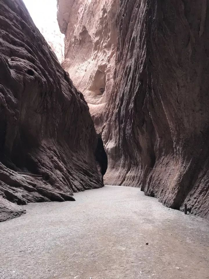 逃离阴雨缠绵的上海,说走就走的3日*疆新**胡杨游你想试试吗?|附攻略