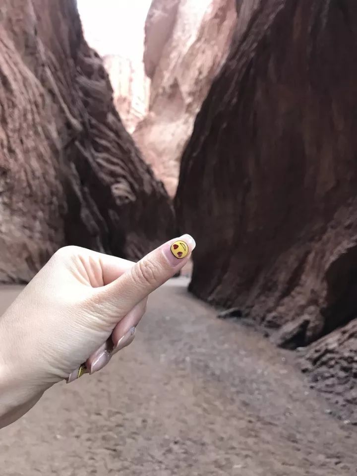 逃离阴雨缠绵的上海,说走就走的3日*疆新**胡杨游你想试试吗?|附攻略