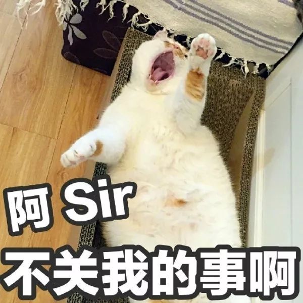 俊介犬舍推荐,俊介犬猫