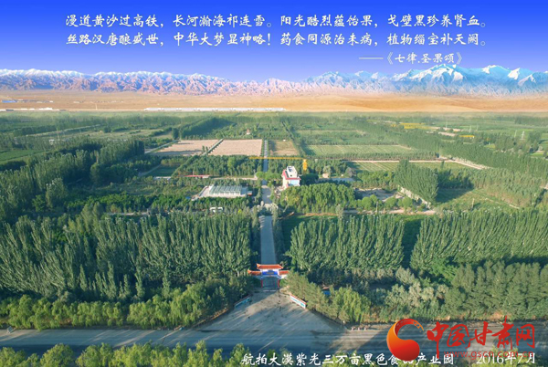 沙产业理论忠实践行者挑战荒漠的大漠之子——人物特写:治沙模范柴在军和他的大漠紫光