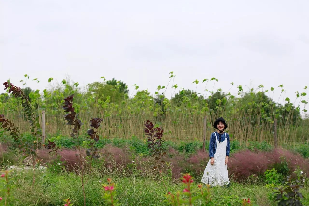 花田里逛了3小时，花材、花束、年度美照都有了