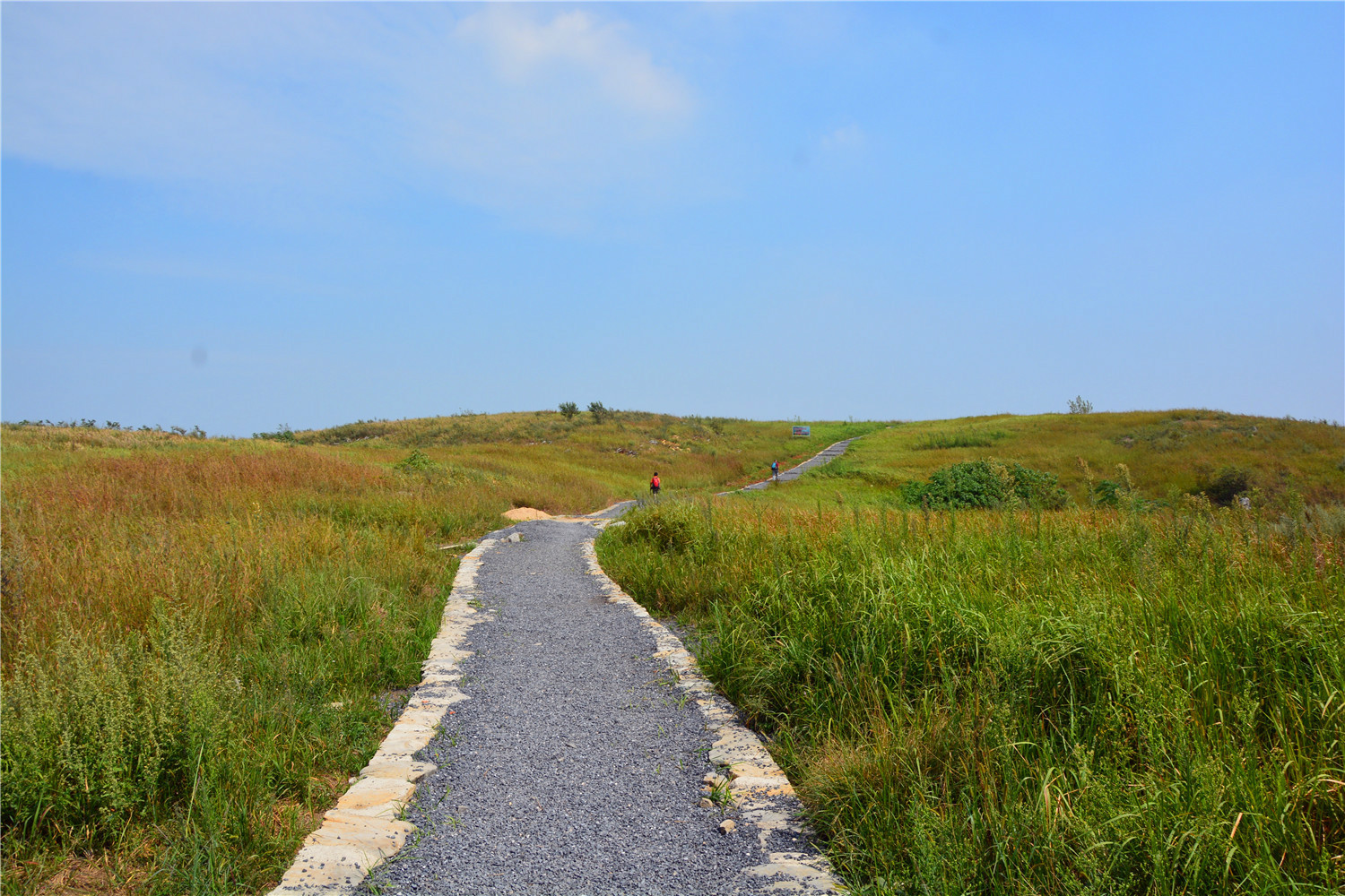 艾润活力氧是真的吗,艾润活力氧