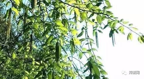 中国敬词大全完整版,敬词大全100个