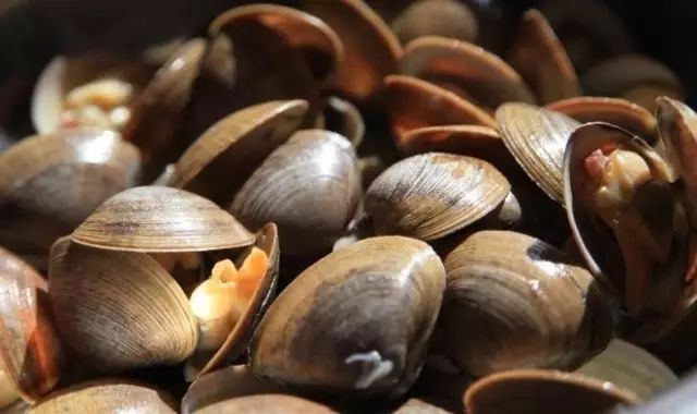 辽宁什么季节吃海鲜最好吃,辽宁海鲜什么时候便宜好吃