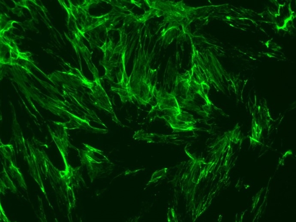 微整形安全与风险解析,脸部微整形有什么风险