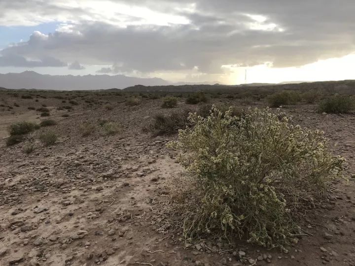 逃离阴雨缠绵的上海,说走就走的3日*疆新**胡杨游你想试试吗?|附攻略