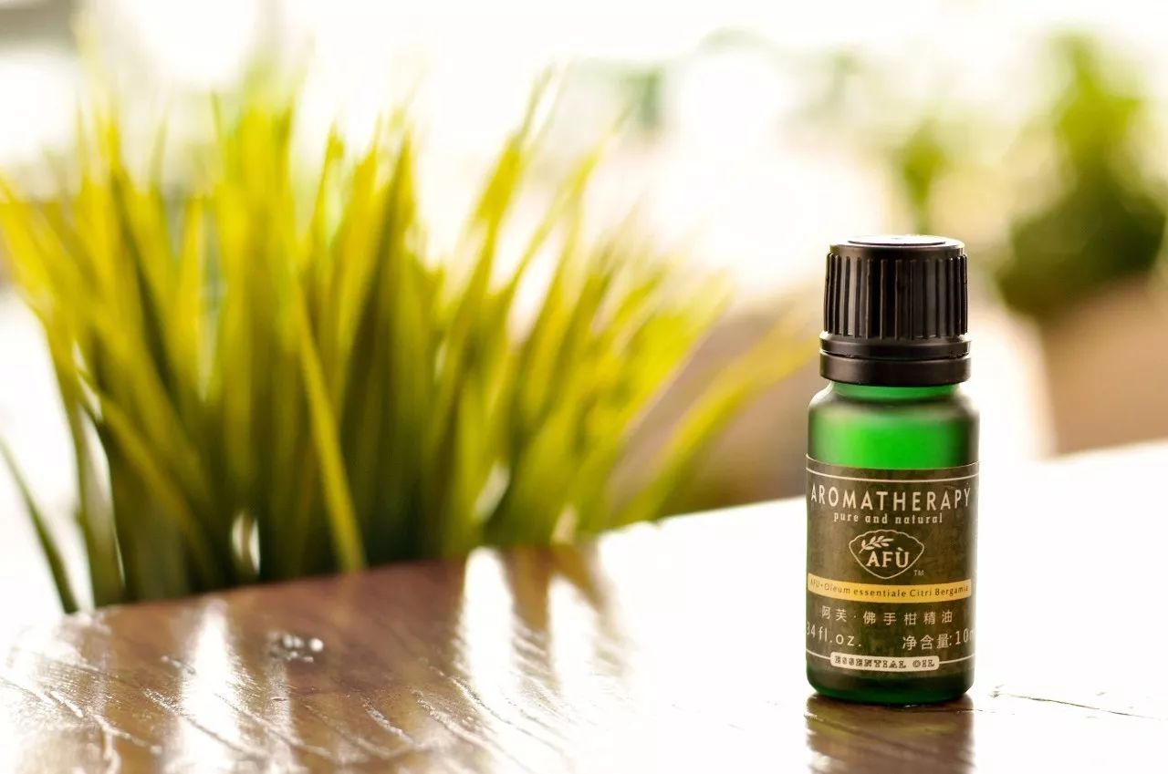 瀹犵矇鐙傞瓟鏂版涓婃柊,瀹犵矇鐙傞瓟涓婄嚎