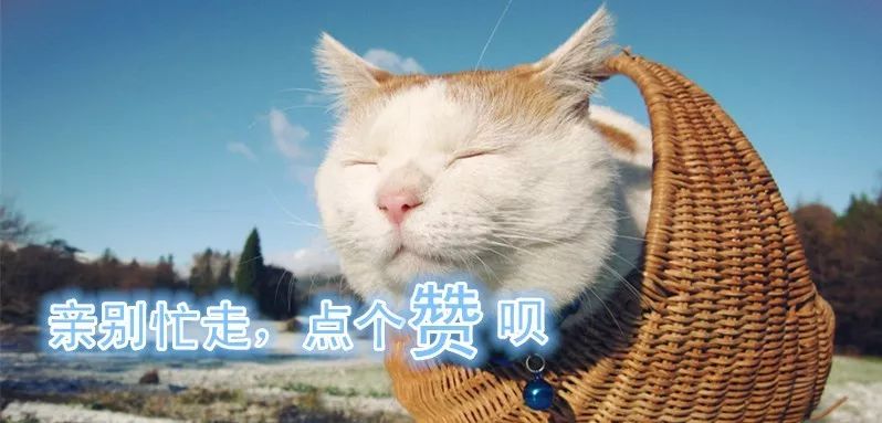 美国代购的维生素安全吗,进口维生素是智商税吗