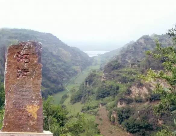 这些令人不可思议的冷知识,这些奇特的冷知识你们知道吗