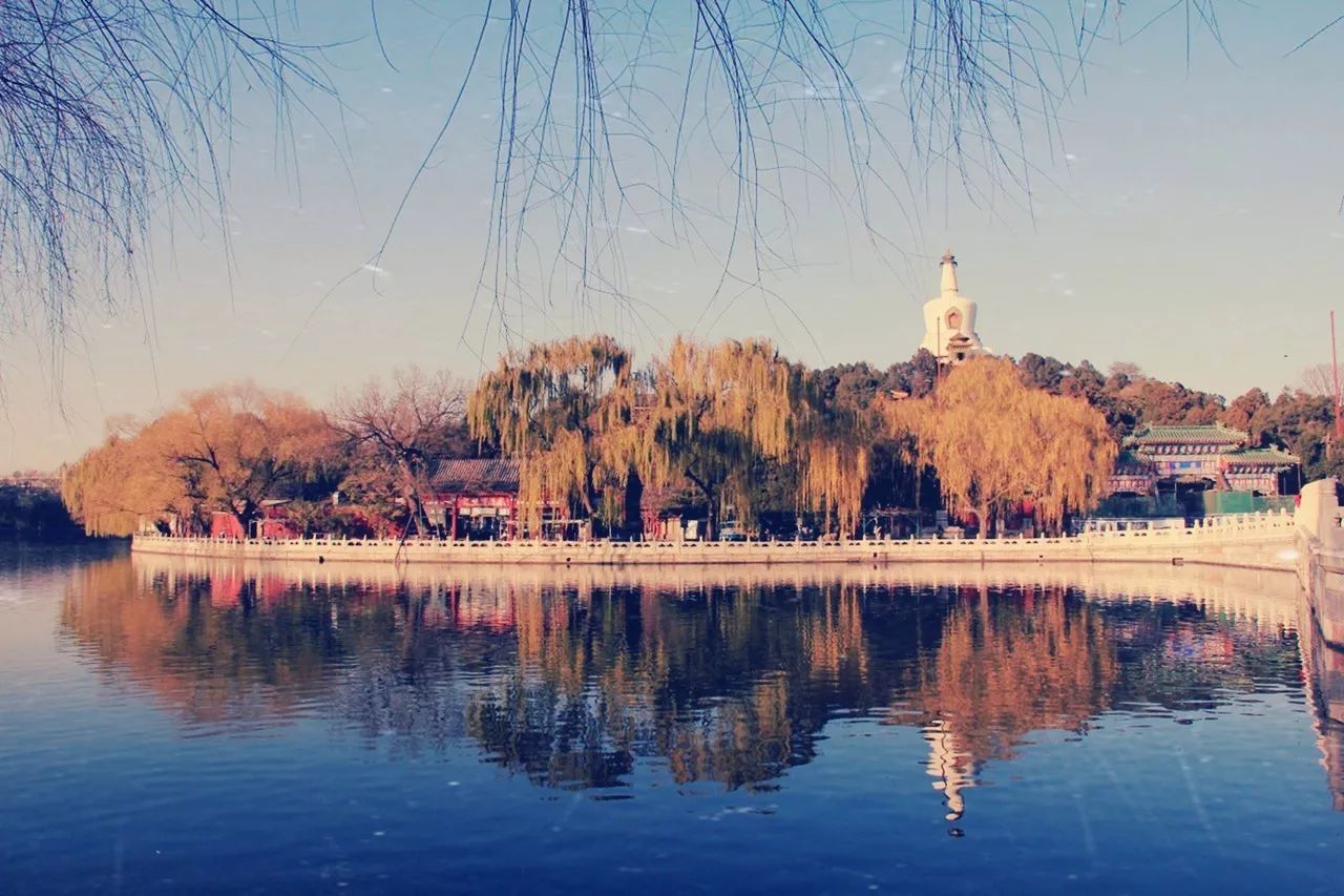 「夜读」“北平之秋便是人间天堂!”秋天的北京美成这样,难怪老舍如此盛赞……(有声朗读)