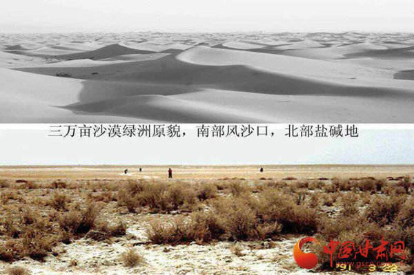 沙产业理论忠实践行者挑战荒漠的大漠之子——人物特写:治沙模范柴在军和他的大漠紫光