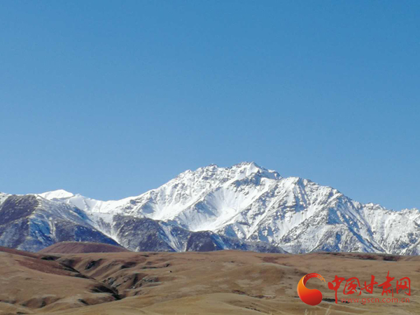 沙产业理论忠实践行者挑战荒漠的大漠之子——人物特写:治沙模范柴在军和他的大漠紫光