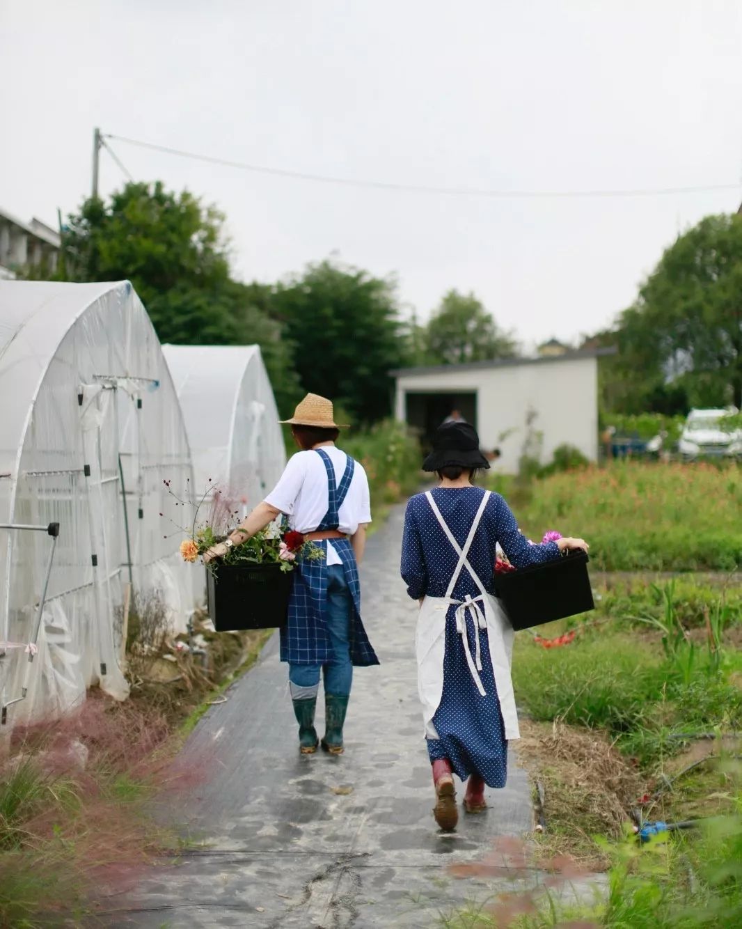 花田里逛了3小时，花材、花束、年度美照都有了