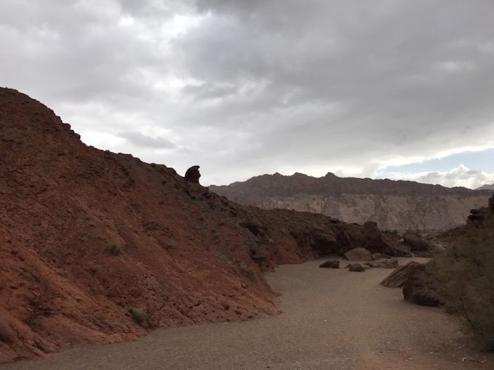 逃离阴雨缠绵的上海,说走就走的3日*疆新**胡杨游你想试试吗?|附攻略