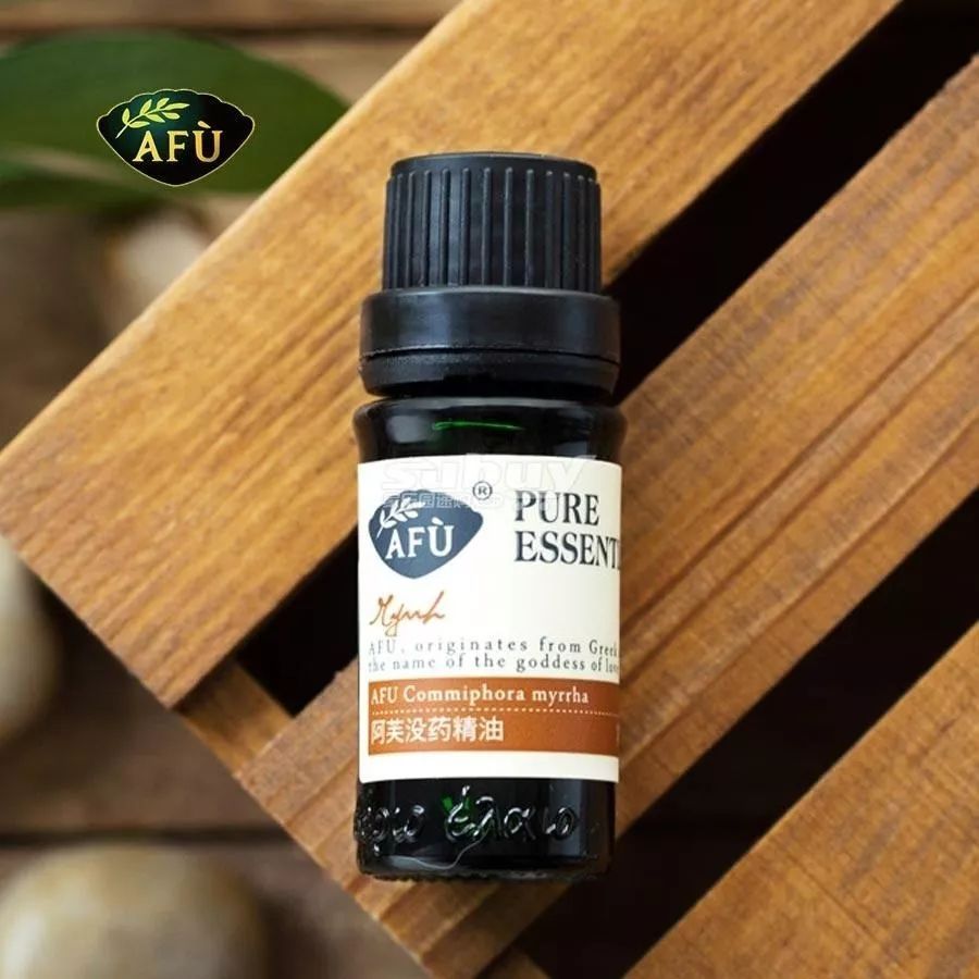 瀹犵矇鐙傞瓟鏂版涓婃柊,瀹犵矇鐙傞瓟涓婄嚎