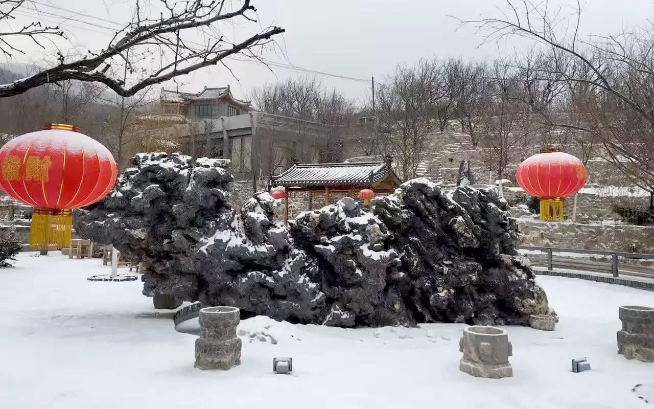 金普新区旅游和文化,金普新区生态湿地公园建在哪里