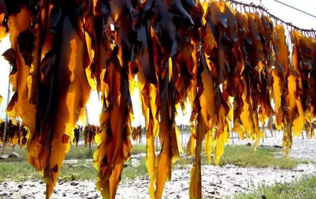 辽宁什么季节吃海鲜最好吃,辽宁海鲜什么时候便宜好吃