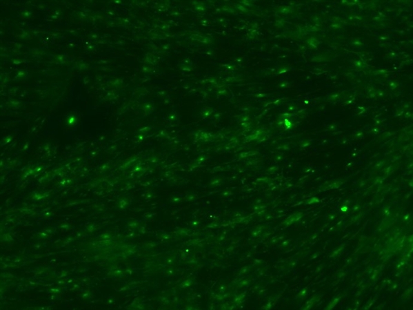 微整形安全与风险解析,脸部微整形有什么风险