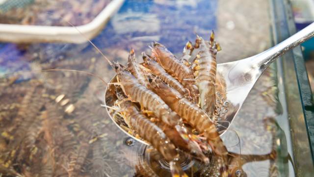 北京哪里自助海鲜便宜又好吃,北京最值得去的海鲜自助