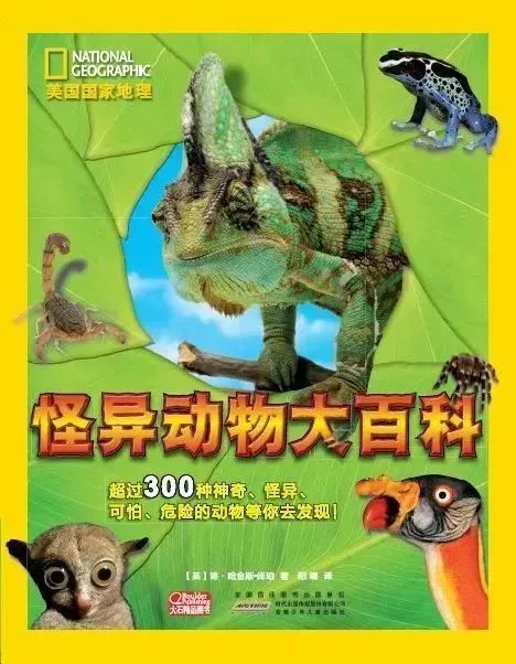 万圣节手工的小饰品,万圣节小饰品制作方法