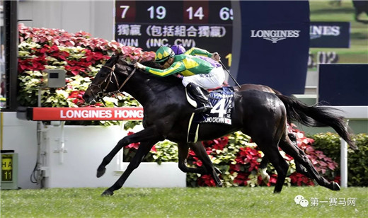 2021浪琴表香港国际赛视频,奖金一亿三千万的赛马比赛