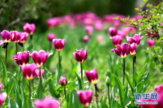 九月九重阳节关爱老人视频,九月九重阳节关爱老人图片