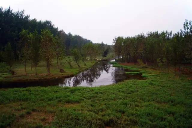 这些令人不可思议的冷知识,这些奇特的冷知识你们知道吗