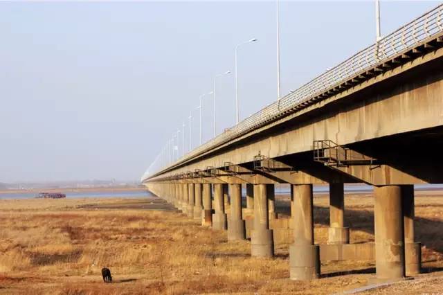 这些令人不可思议的冷知识,这些奇特的冷知识你们知道吗