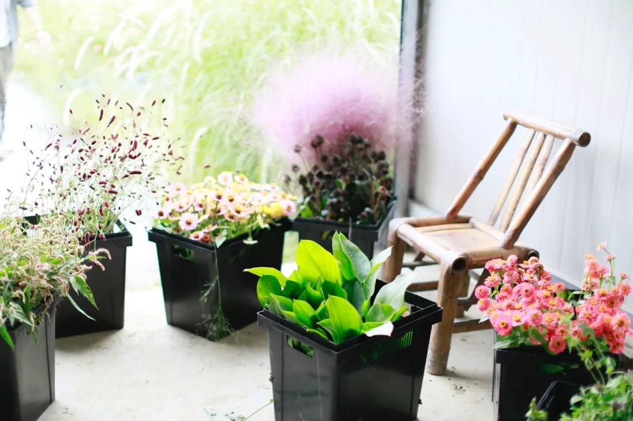 花田里逛了3小时，花材、花束、年度美照都有了