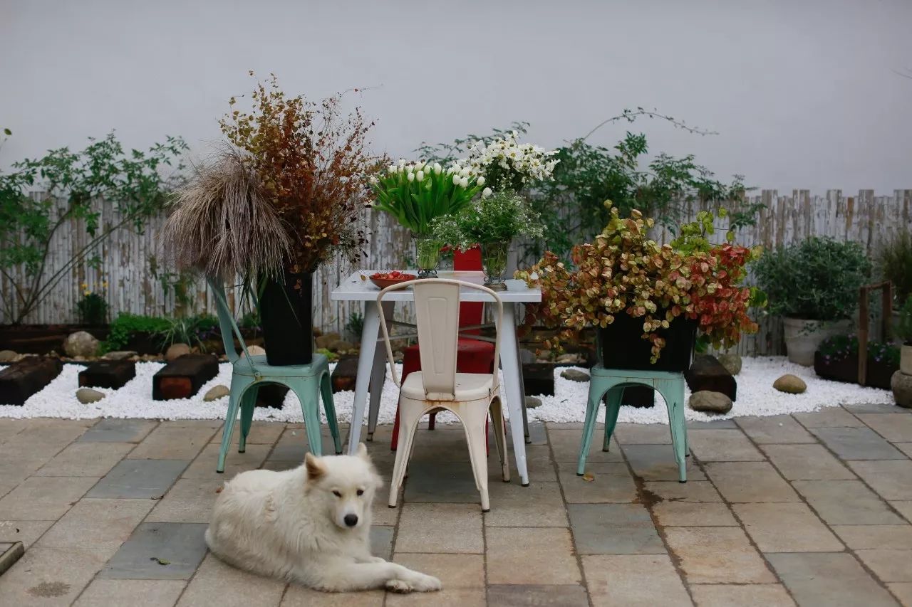 花田里逛了3小时，花材、花束、年度美照都有了