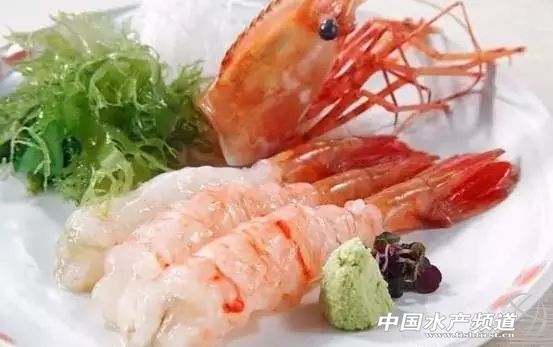 虾类有几千种，你又认识几种？