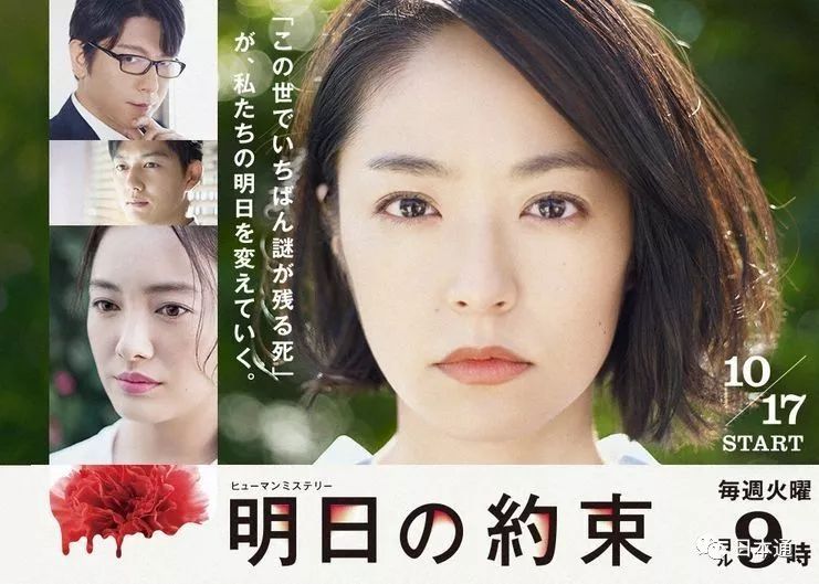 拯救剧荒排行榜,拯救剧荒的电视剧推荐