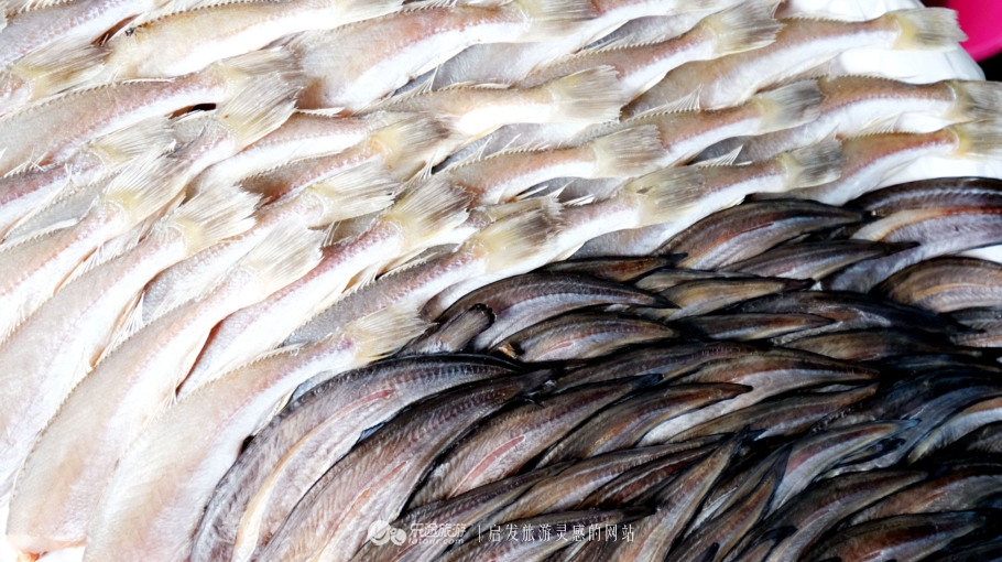 坐着小马车去赶集,坐着大巴去赶集