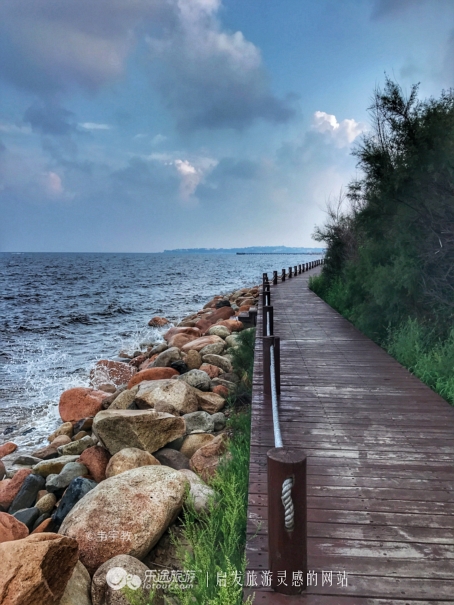 湿地观鸟自然体验,观鸟是一种宁静的心境