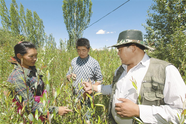 党的八大前中国经济成就,十八大以来西藏经济社会发展纪实