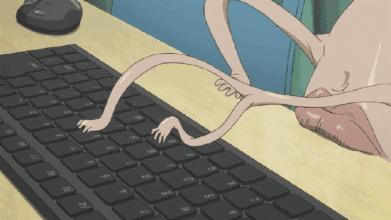 网络实名制来了，黑子水军营销号们的末日到了