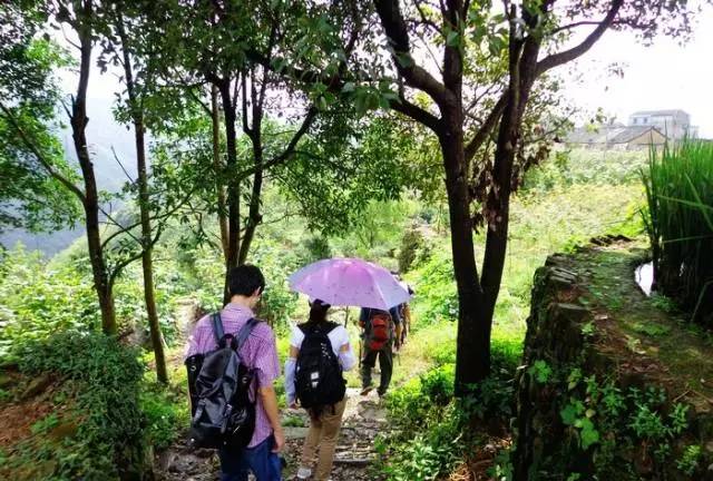 走不完的山川大地,走不完的川西看不完的美景