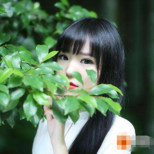 仙剑奇侠传单机安卓版在哪下,安卓仙剑奇侠传单机