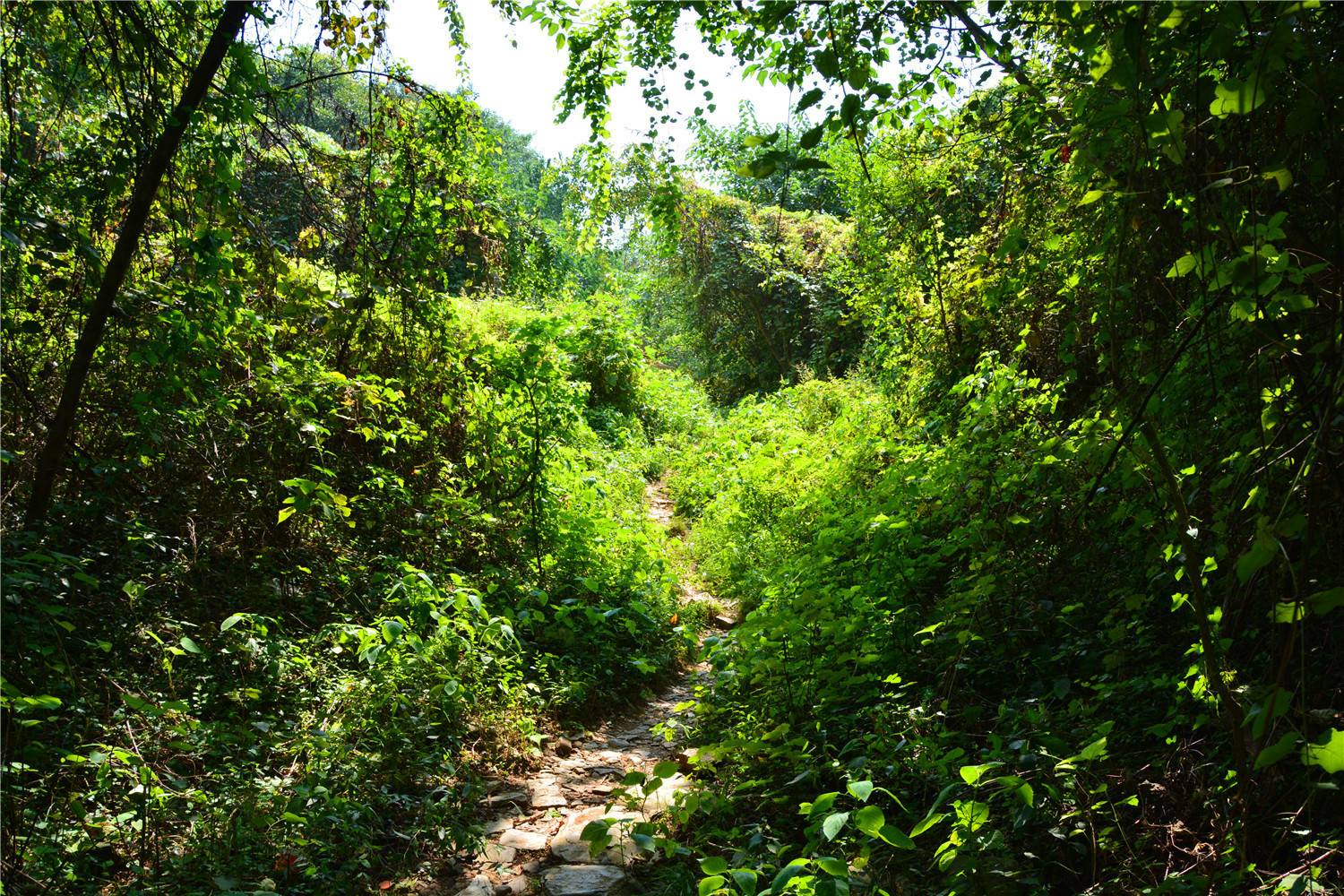 艾润活力氧是真的吗,艾润活力氧