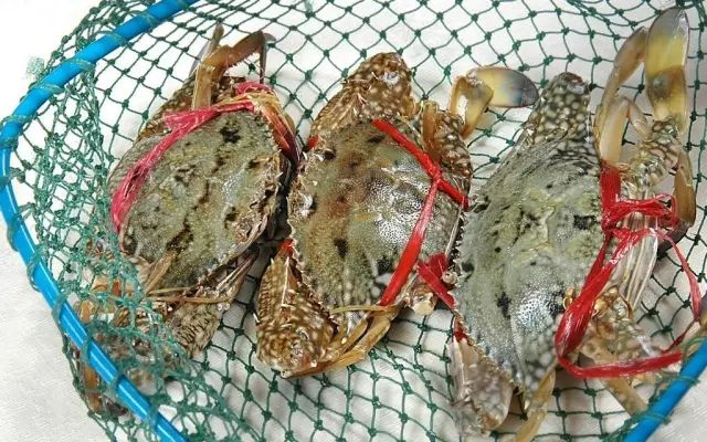 辽宁什么季节吃海鲜最好吃,辽宁海鲜什么时候便宜好吃