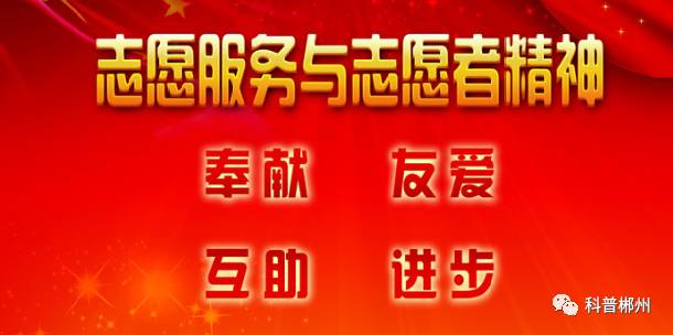 窗帘免拆清洗技巧与注意事项,窗帘免拆清洗技巧及教程