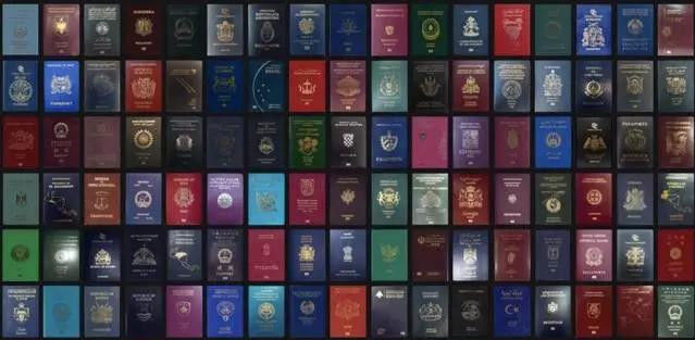 护照的颜色有什么区别,护照正常是什么颜色