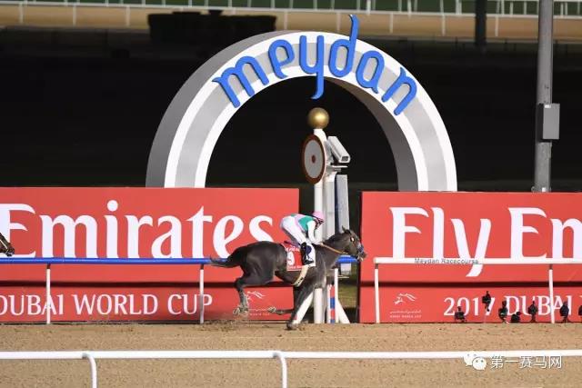 育马者杯赛马视频,育马者杯夺冠视频